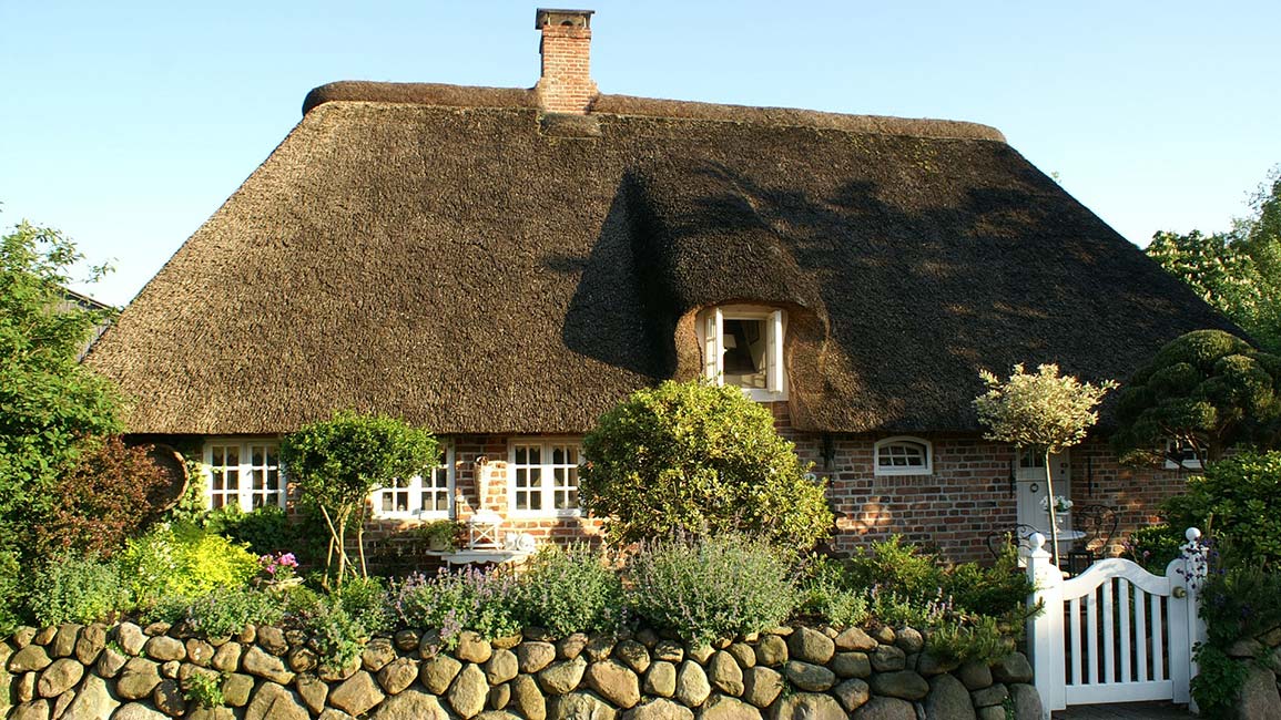 thatched roofed house with garden